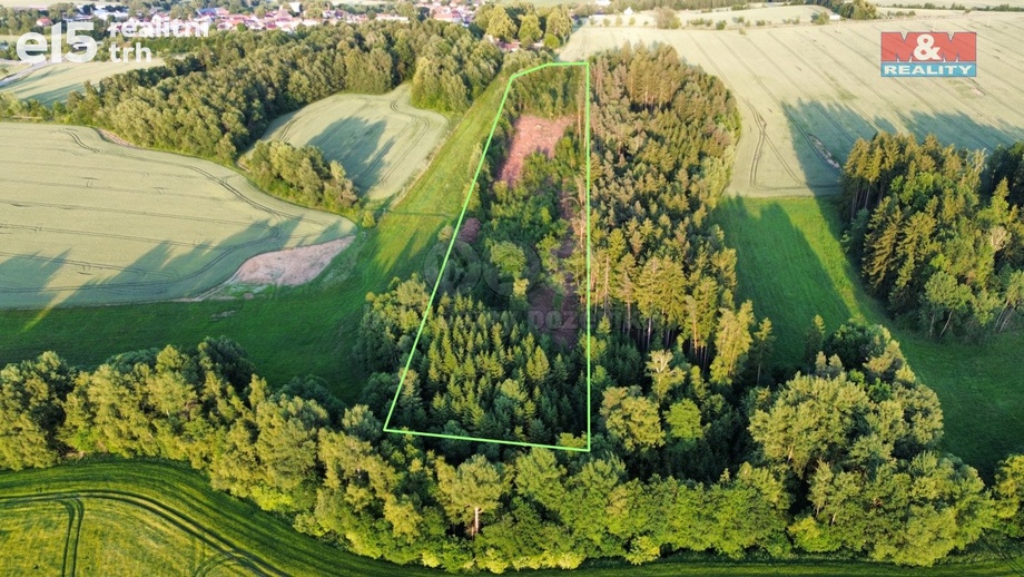 Prodej lesy, 17 153 m² - Božejov