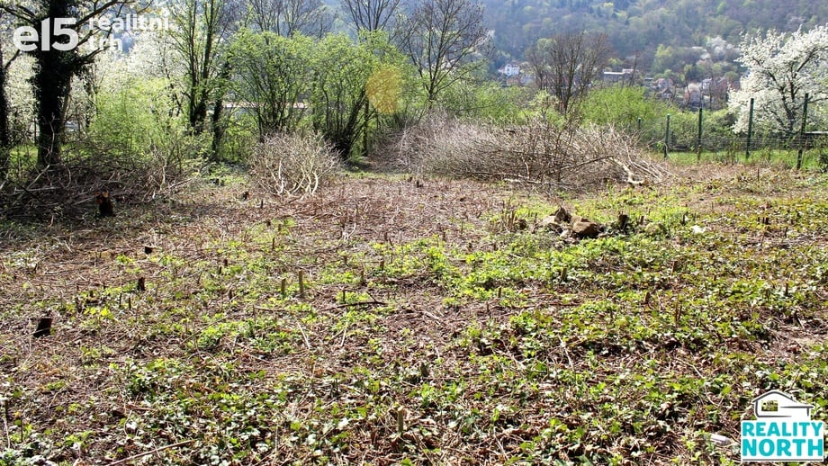 Prodej pozemky pro bydlení, 1 219 m² - Ústí nad Labem - Střekov