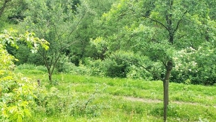 Prodej zahrady 4 107 m², Zbraslav