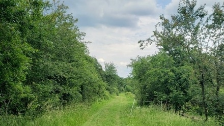 Prodej zahrady 4 107 m², Zbraslav