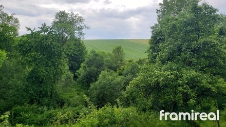 Prodej zahrady 4 107 m², Zbraslav