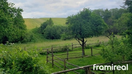 Prodej zahrady 4 107 m², Zbraslav