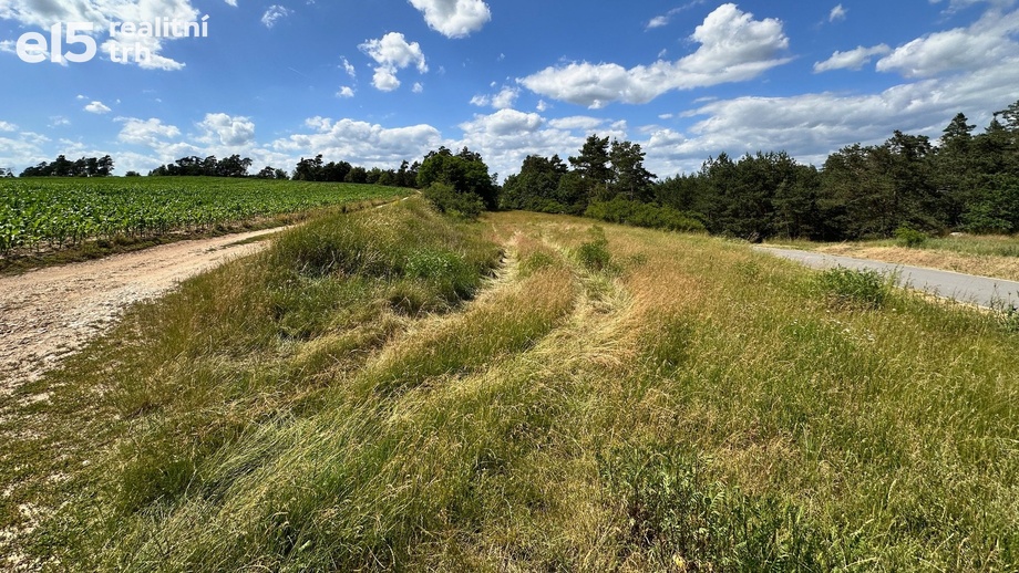 Prodej lesy, 24 443 m² - Tasov