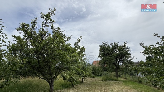 Prodej pozemky - zahrady, 351 m² - Podbořany - Buškovice