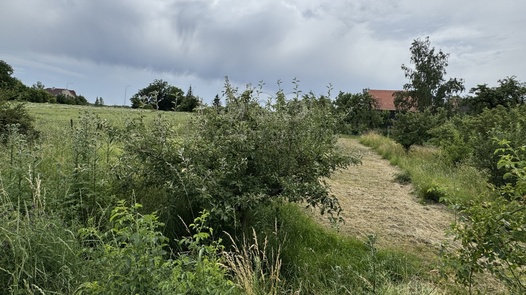 Prodej pozemky - zahrady, 351 m² - Podbořany - Buškovice