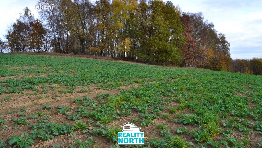 Prodej podílu 49/100 ostatní pozemky, 11 599 m² - Stráž pod Ralskem