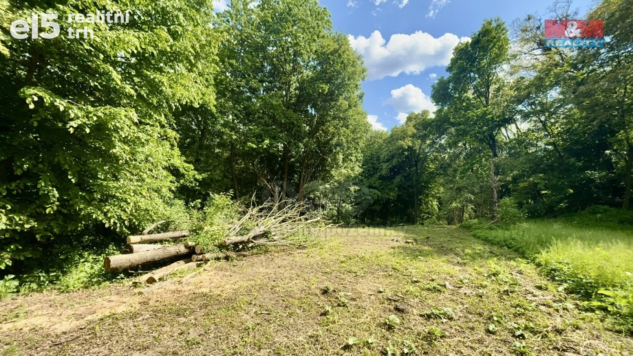 Prodej pozemky - zahrady, 2 923 m² - Šarovy