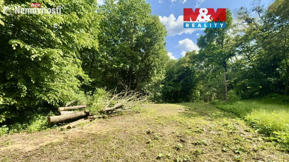 Prodej zahrady 2 923 m², Šarovy