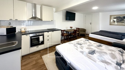 Prodej apartmánu 359 m², Březí