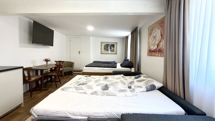 Prodej apartmánu 359 m², Březí