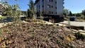 Prodej bytu 1+kk 31 m², Harrachov