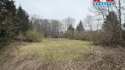 Prodej rybníku 5 965 m², Rychnov nad Kněžnou