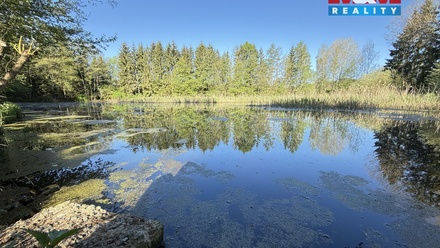 Prodej rybníku 5 965 m², Rychnov nad Kněžnou
