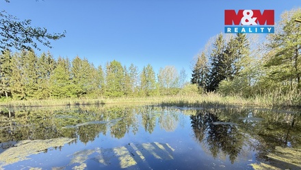 Prodej rybníku 5 965 m², Rychnov nad Kněžnou