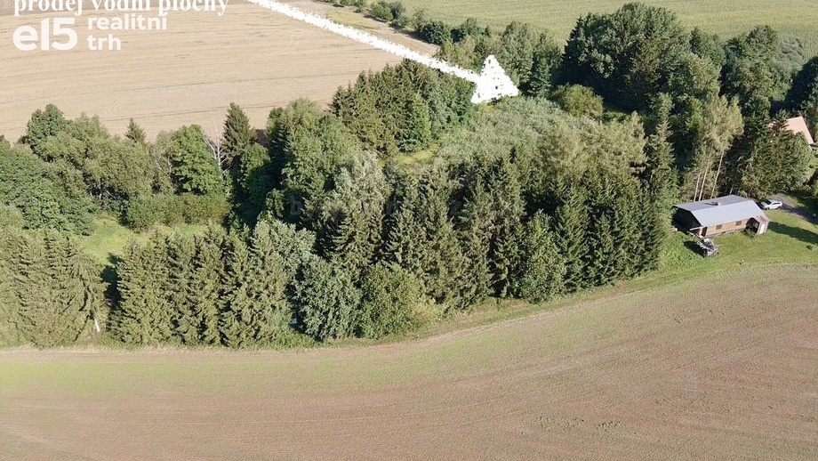 Prodej rybník, 5 965 m² - Rychnov nad Kněžnou - Lipovka