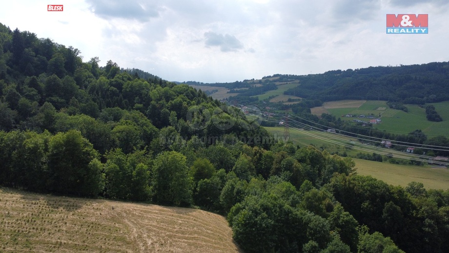 Prodej lesa 164 841 m², Palkovice