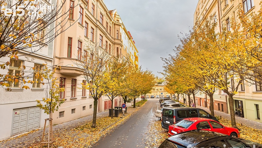 Pronájem byty 3+1, 155 m² - Brno - Veveří