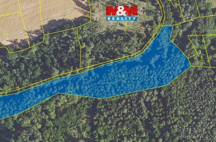 Prodej pole 11 043 m², Svárov