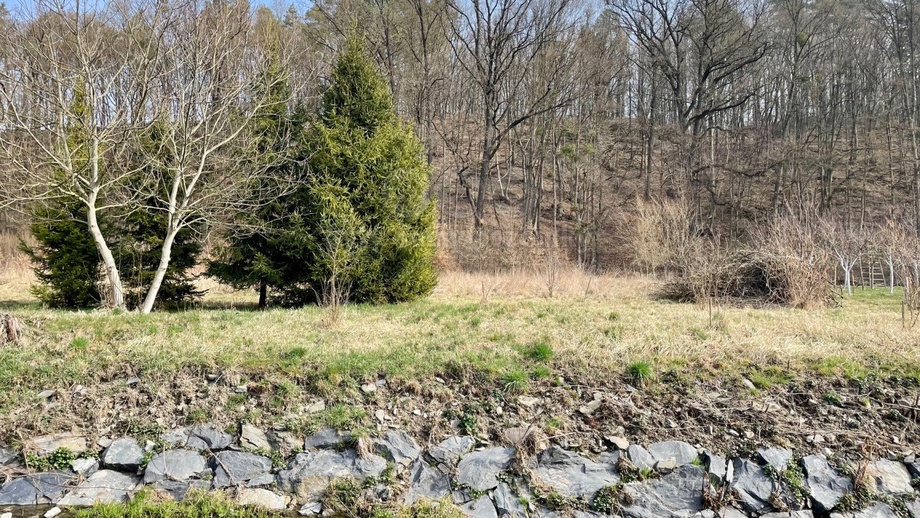 Prodej stavebního pozemku 2 948 m², Bílovec