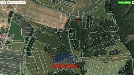 Prodej lesa 2 819 m², Čepřovice