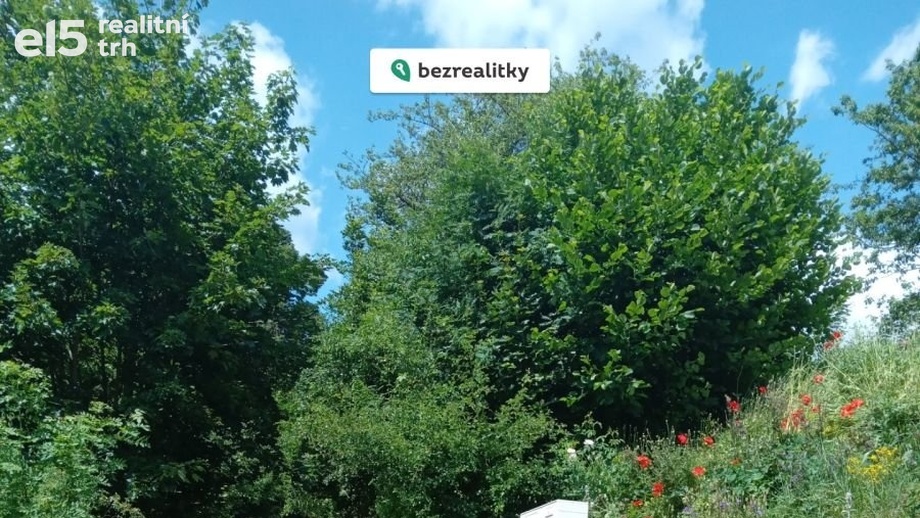 Prodej pozemky pro bydlení, 1 374 m² - Luby