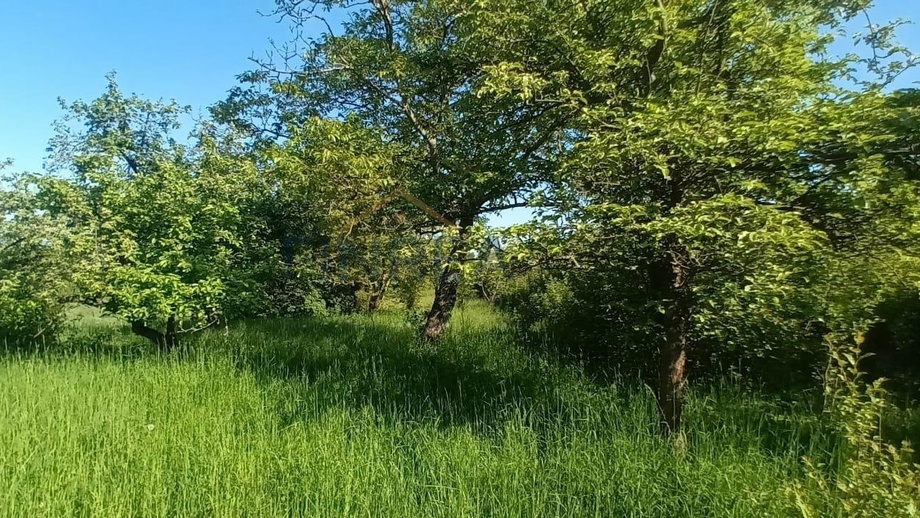 Prodej sadu / vinice 912 m², Kololeč