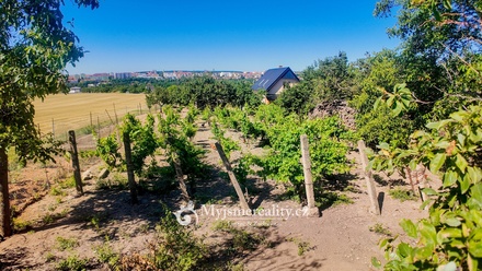 Prodej zahrady 1 132 m², Znojmo