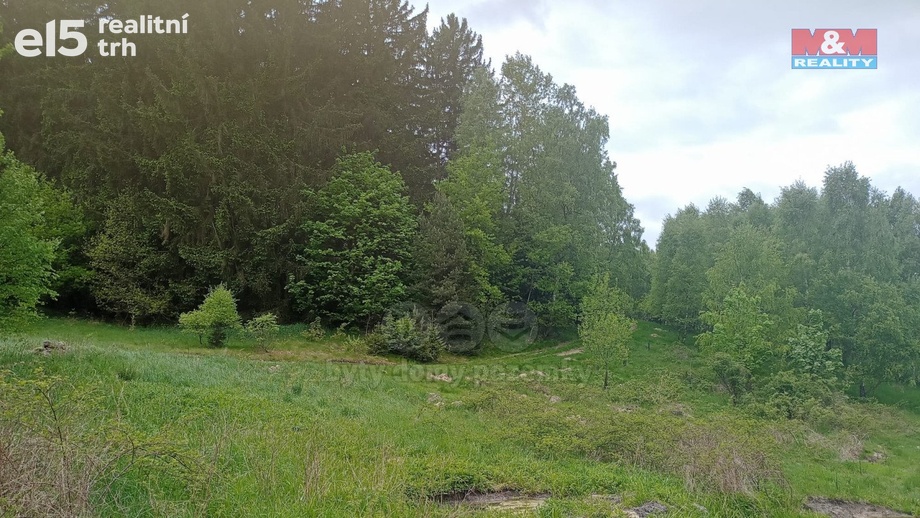 Prodej pozemky - trvalý travní porost, 7 967 m² - Kořenov - Rejdice