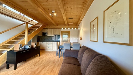 Pronájem bytu 3+kk 74 m², Vítkovice