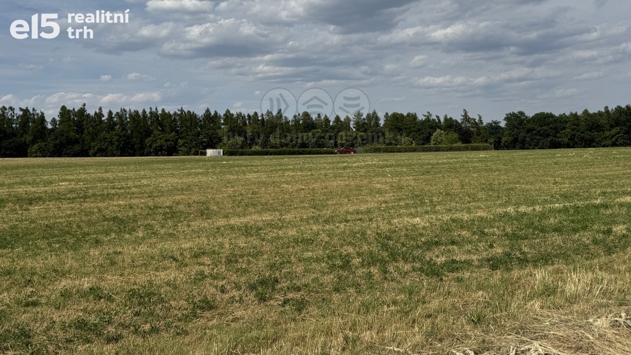Prodej pozemky - trvalý travní porost, 1 831 m² - Hradištko