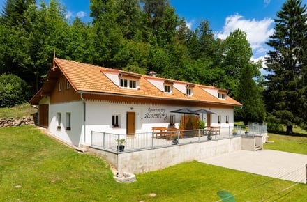 Prodej nemovitosti pro ubytování 302 m², Rožmberk nad Vltavou