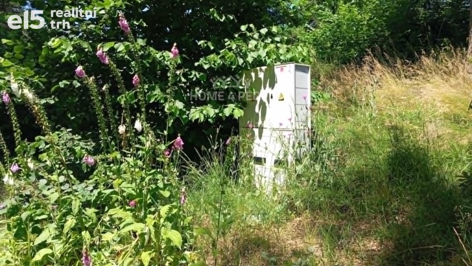 Prodej ostatní pozemky, 194 m² - Jivno