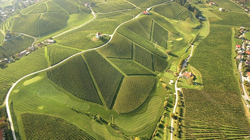 Vinice na cestě k moři. Developer Hauerland buduje ve Slovinsku zastávku pro Čechy i Rakušany