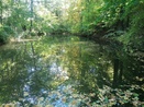 Pronájem, rybníku (vodní plochy), 781 m2, Bystřice pod Hostýnem, Rychlov, Ev.č.: 01113