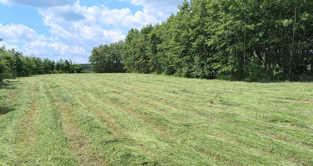 Prodej hezké velké zahrady 7 161 m², Doubravčice