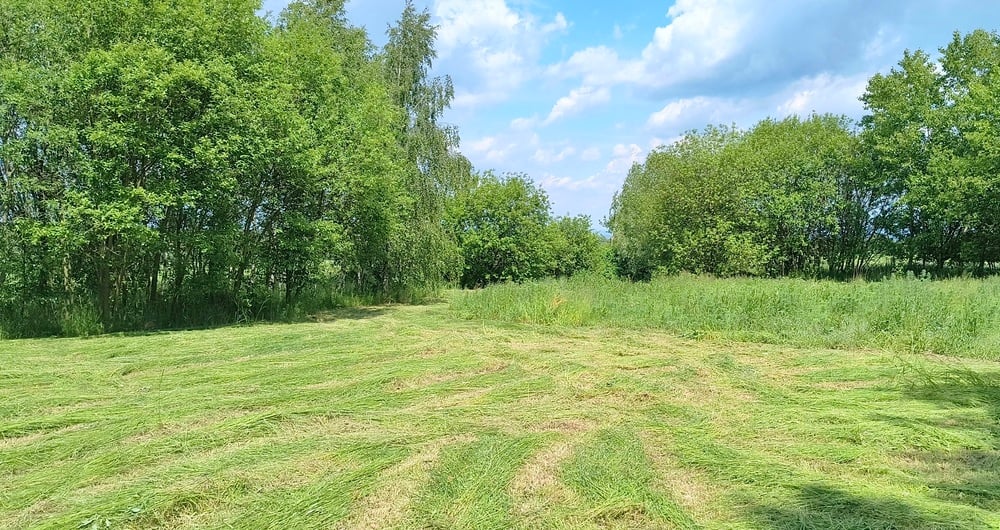 Prodej hezké velké zahrady 7 161 m², Doubravčice