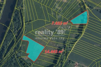 Prodej, Zemědělská půda, 21877 m² - Tišice - Kozly, Ev.č.: 00427
