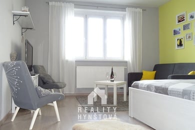 Prodej prostorného bytu 1+1 po rekonstrukci, k investici i bydlení, CP 41,62 m², zahrádka 29 m2 - Brno, ul. Mlýnská, Ev.č.: 21010386