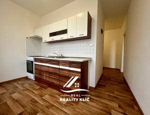Pronájem bytu 1+1 38 m², Ostrava - Hrabůvka