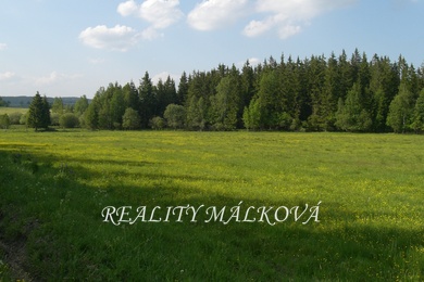 Prodej, Lesy, 175000m² - Podhořany u Ronova, Ev.č.: 00112