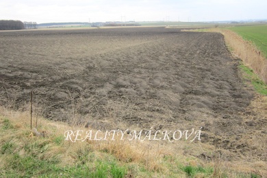 Prodej, Zemědělská půda, 5434m² - Němčice, Ev.č.: 00150