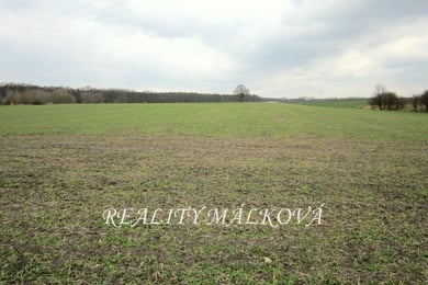 Prodej, Zemědělská půda, 4205m² - Sezemice, Ev.č.: 00151