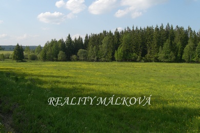 Prodej, Lesy, 45491m² - Jeníkovice, Ev.č.: 00046