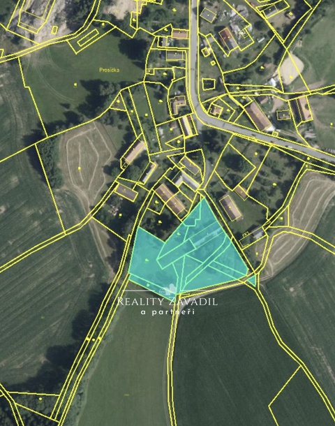Prodej pozemky pro bydlení, 6 335 m² - Seč - Prosíčka