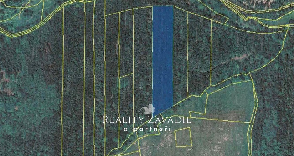 Prodej lesa 11 917 m², Hradec nad Moravicí - Filipovice