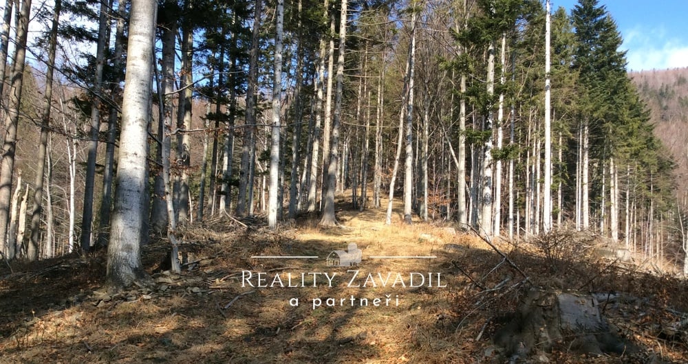 Prodej lesa 27 814 m², Morávka