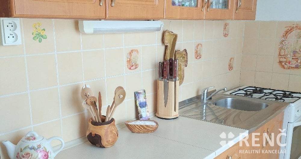 OB 2+1 LESNÁ - Nejedlého za OB 2+1 Lesná, Řečkovice, s balkonem