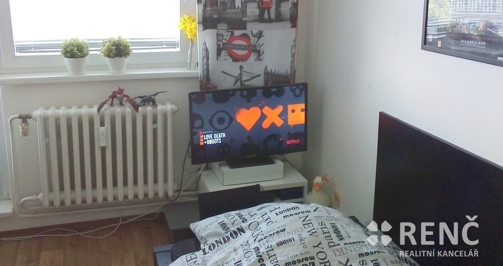 OB 1+kk ŽABOVŘESK, ulice Voroněžská za OB Gars. - 1+1 v okolí, pouze cihlový dům