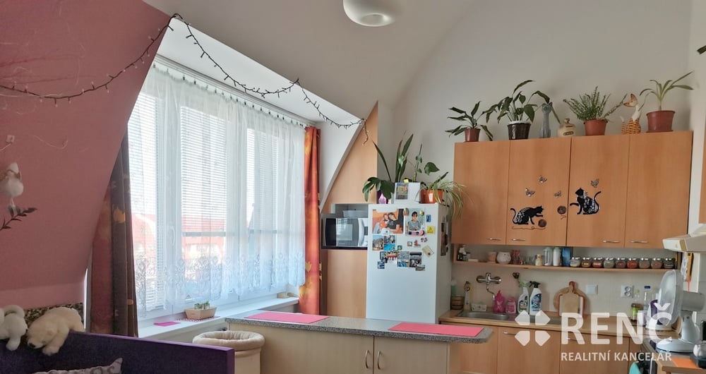 OB 2+kk LÍŠEŇ, ul.Molákova za OB 2+1 - 3+1  Kohoutovice, Bystrc, St.Lískovec a okolí