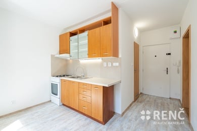 Pronájem bytu 1+1 po rekonstrukci, v klidné části Brna – Kohoutovic, ulice Musorgského, Ev.č.: 01364